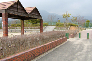 三川内中央運動公園の写真