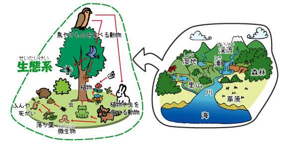生態系の図