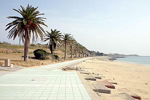 スゲ浜海水浴場の写真
