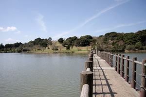 白岳自然公園の写真