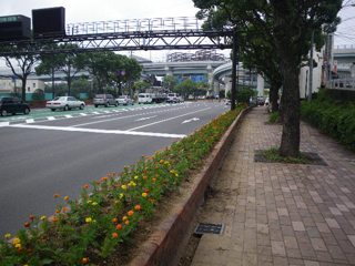 植付完了後の写真（2枚目）