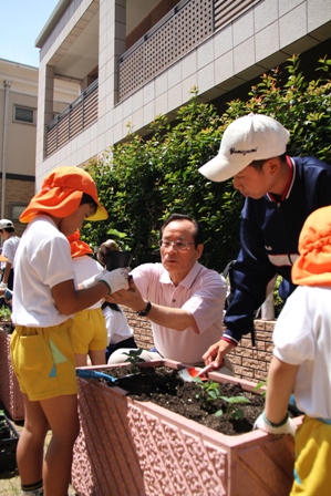 園児と中学生の植付状況写真