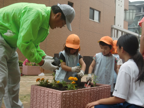 駅周辺での植付状況写真（1枚目）