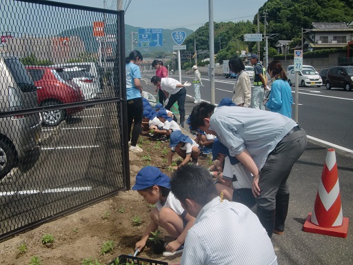 国道35号佐世保国道維持出張所前植付状況写真