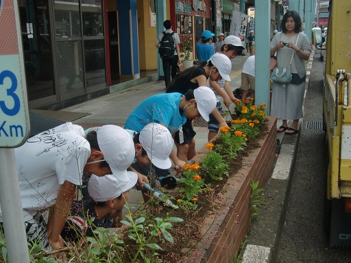 京町バス停前植付状況写真