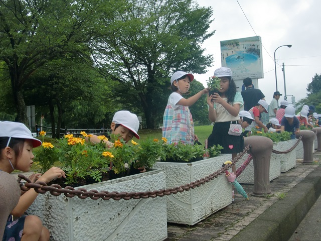 西海パールシーリゾート周辺での植付状況写真