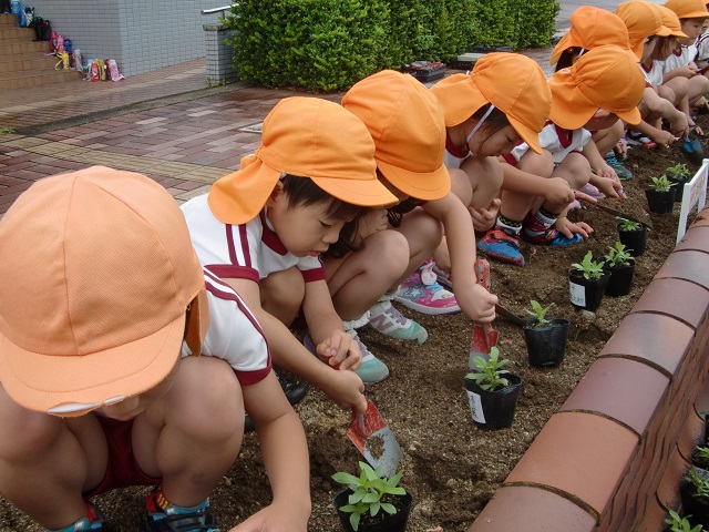 佐世保中央インターチェンジでの植付状況写真