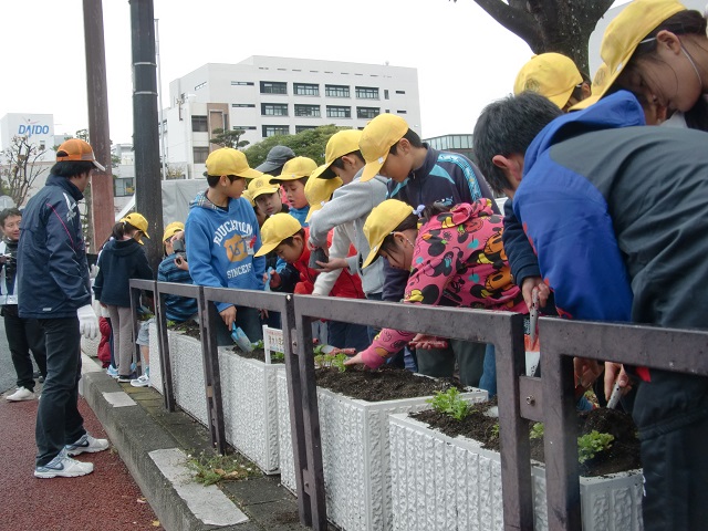 佐世保市役所前での植付状況写真