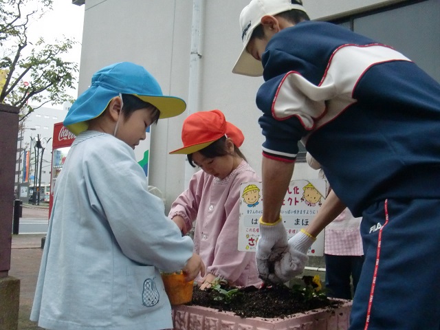 佐世保駅周辺での植付状況写真