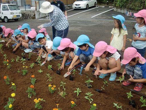 国道498号柚木小学校周辺植付状況写真