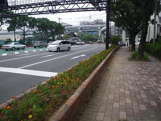 中央インターチェンジ周辺での実施写真