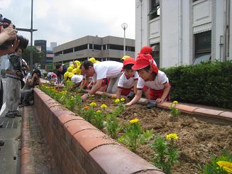 中央インターチェンジ周辺での植付状況写真