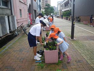 佐世保駅周辺での植付状況写真