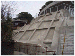 山手（2）地区の写真