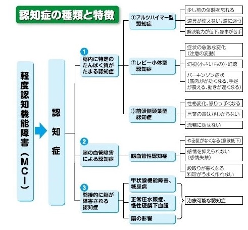 認知症を理解するために-1