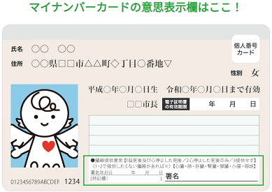 maina