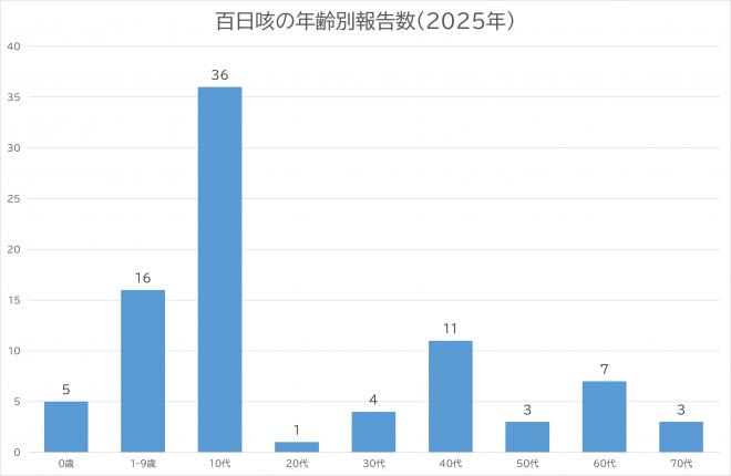年齢別