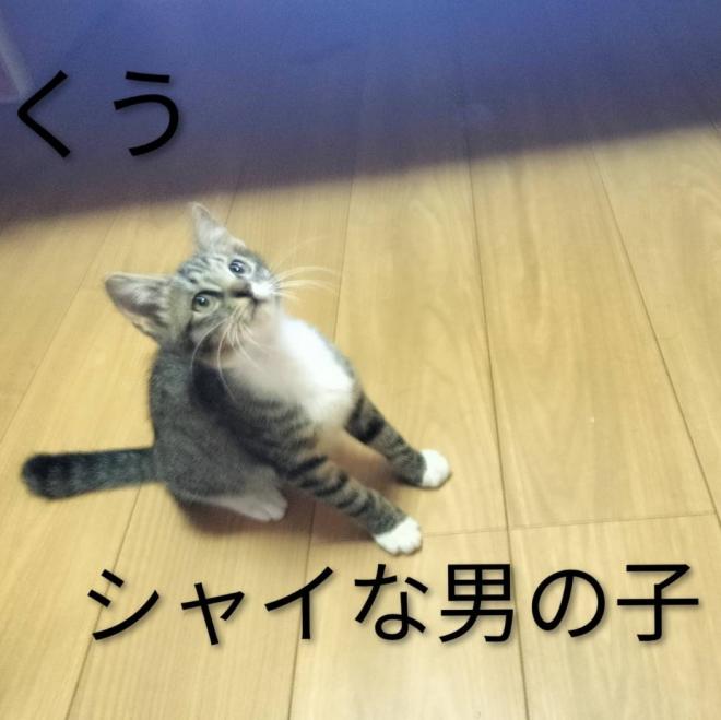 くう