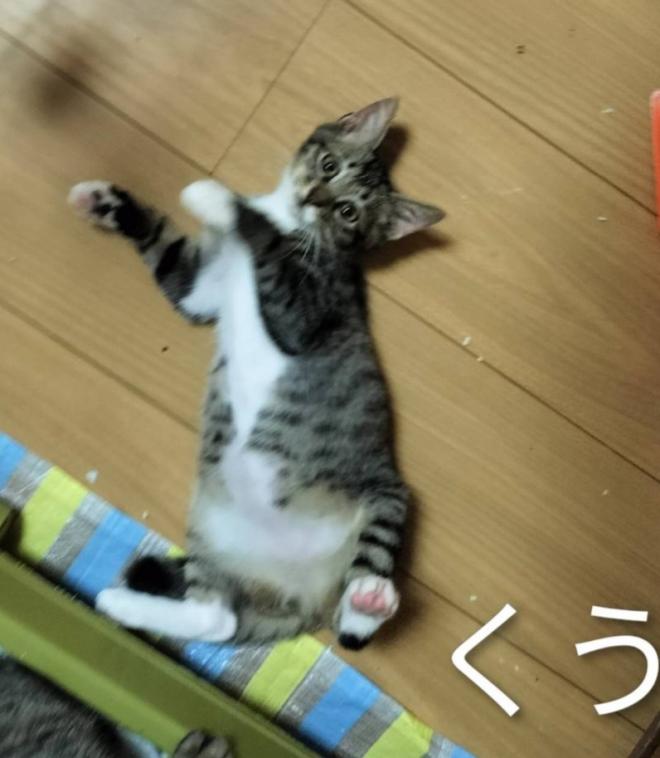 くう