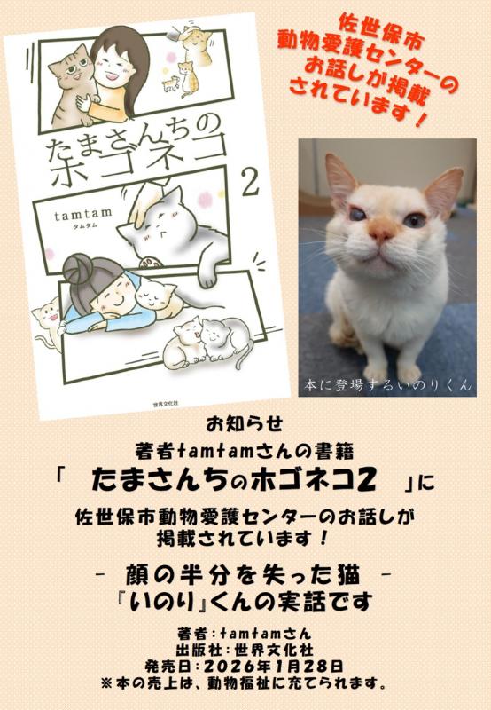 たまさんちのホゴネコ2