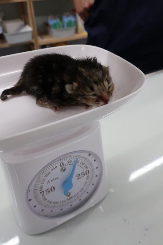 むーちゃん