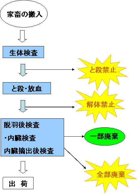 食鳥検査の流れ