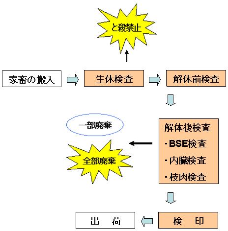 と畜検査の流れ