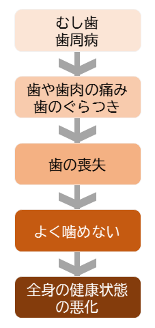 歯・口腔と全身の健康との関係性