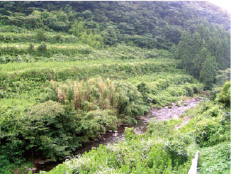 柚木ホタルの里の写真