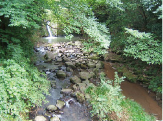 山の田水源地上赤木橋