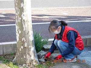 画像:ボランティアの様子3