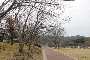 天神公園の様子1