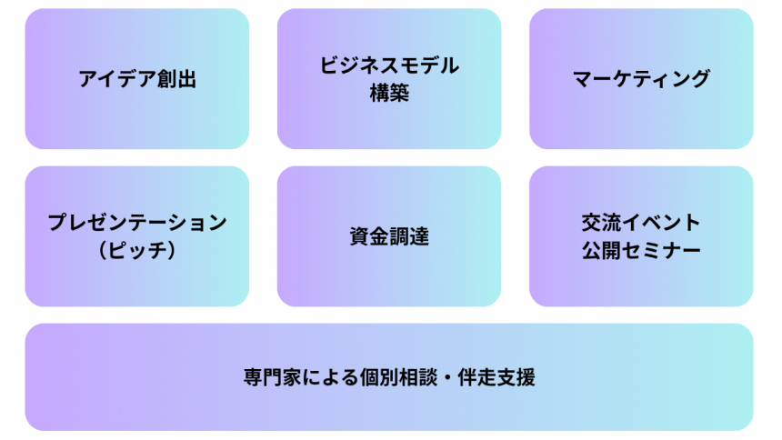 program