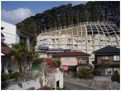 椎木(4)地区の写真