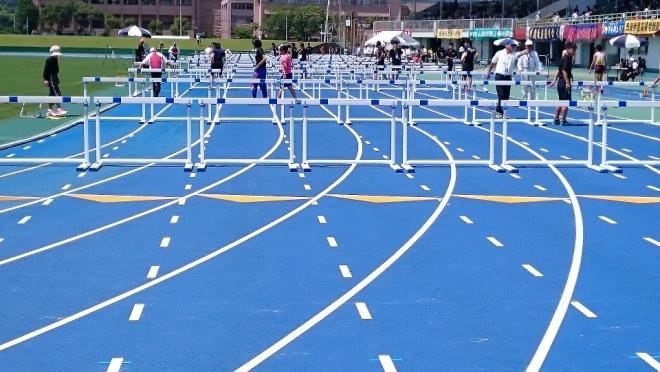 ハードル（平成28年度）の写真2枚目