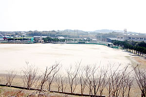 エビスが丘中央公園の写真