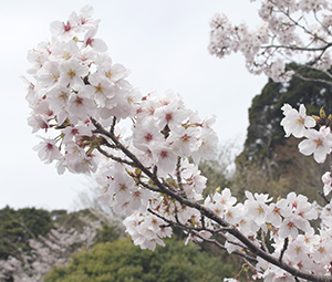 20220328牧の岳公園近景