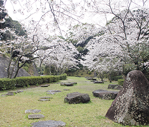 20220331大悲観公園遠景
