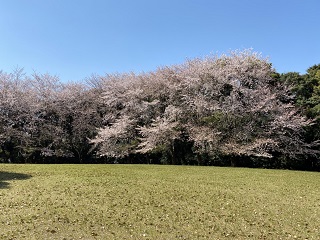 20220404干尽公園遠景