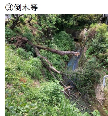 カテゴリ(河川)3