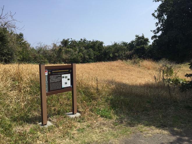 旧佐世保海軍警備隊黒島番岳高射砲台跡