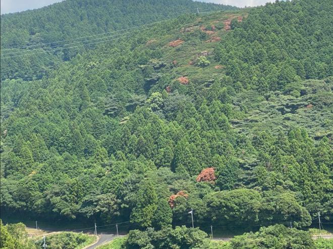 吉井町福井(R6.8.9撮影)