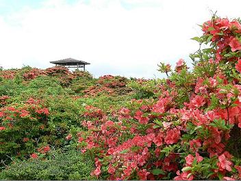 隠居岳公園(ウォーカーズ・パーク)の写真