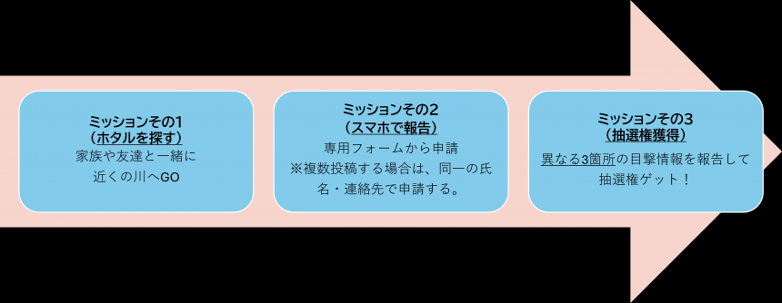 参加者スキーム図