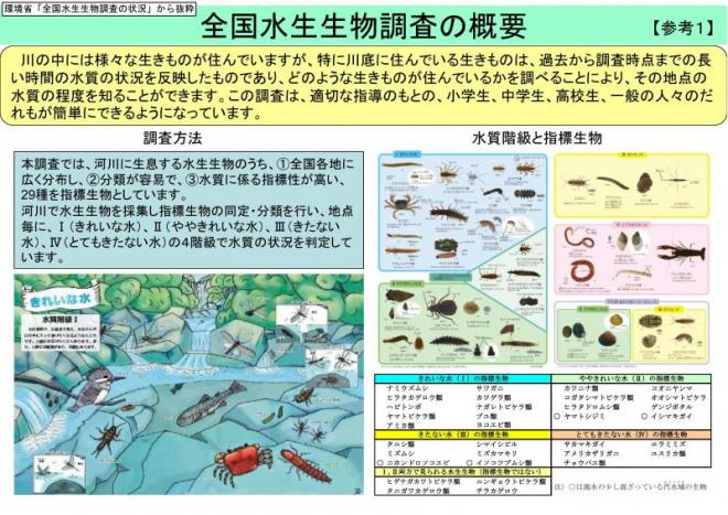 水生生物調査概要