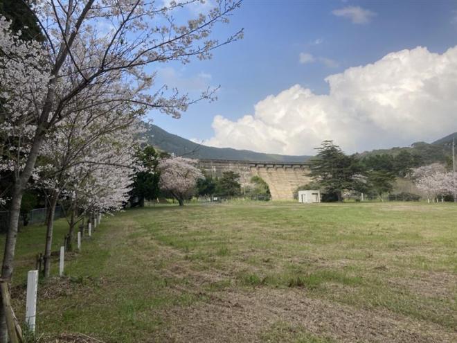 昨年の菰田水源地の様子