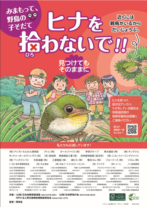 令和8年度ヒナを拾わないで!ポスター(表)