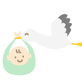アイコン：赤ちゃんがほしい