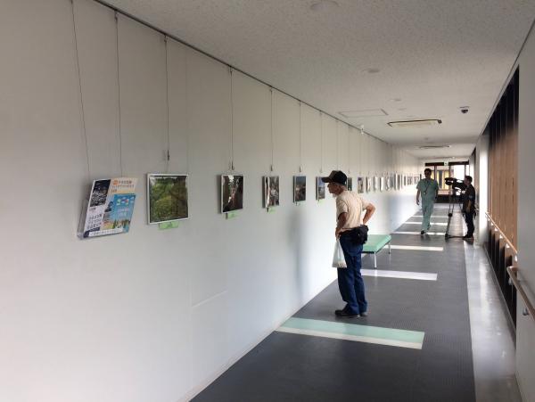 景観の日パネル展の様子