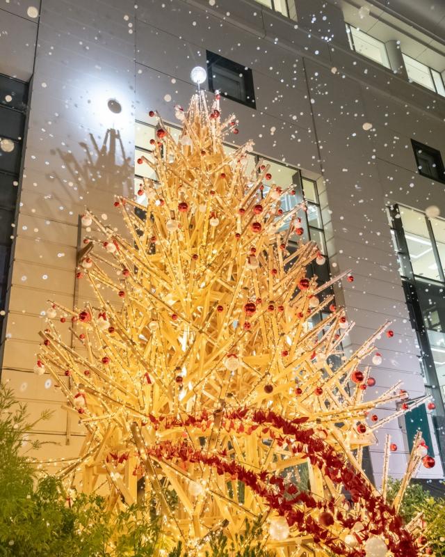 クリスマスツリー1